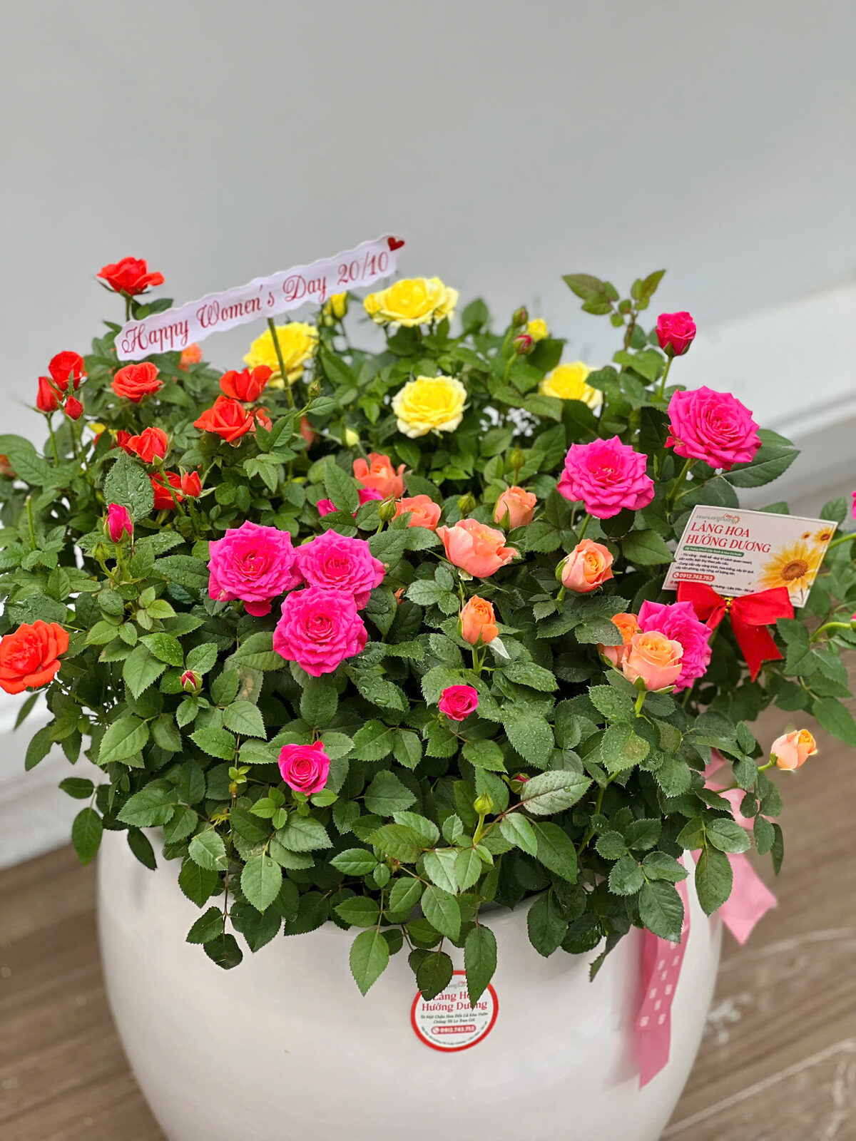 Hồng Tỉ Muội Mix Màu Chậu Sứ Trắng Lớn